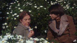 Harold and Maude's poster