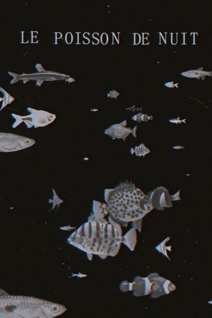 The Night Fish's poster