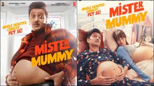 Mister Mummy's poster