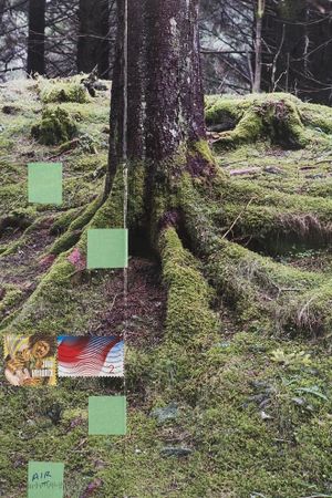 Hemlock Forest's poster image