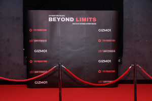 Beyond Limits's poster