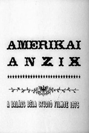 American Torso's poster