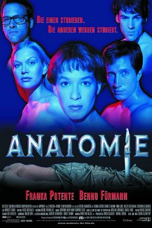 Anatomy's poster