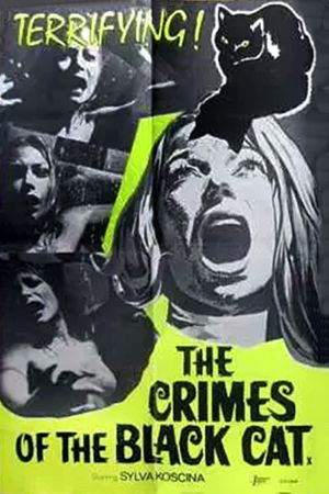 The Crimes of the Black Cat's poster