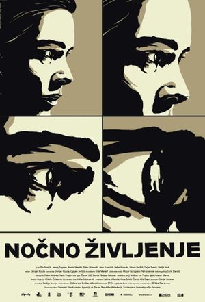 Nightlife's poster