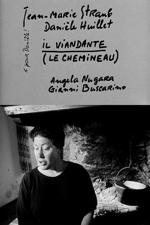 Il viandante's poster