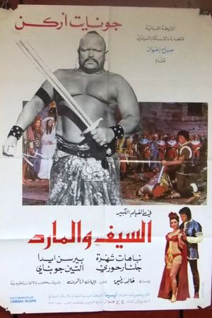 The Sword and the Genie's poster