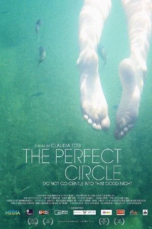 The Perfect Circle's poster