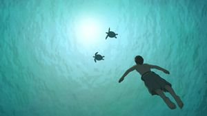 The Red Turtle's poster