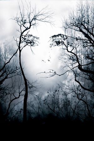 Premonition's poster