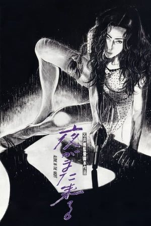 Alone in the Night's poster