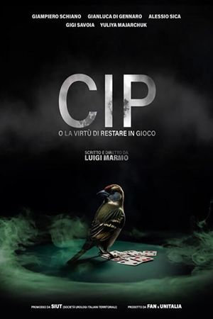 CIP – O la virtù di restare in gioco's poster