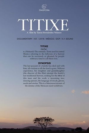 Titixe's poster