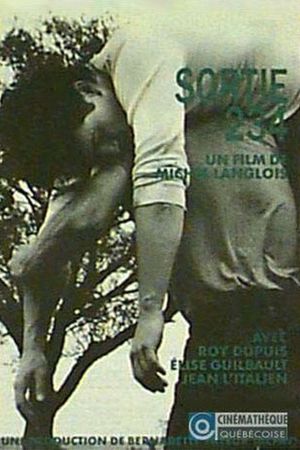 Sortie 234's poster