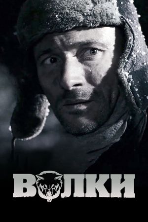 Volki's poster