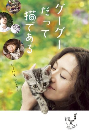 Gou Gou, the Cat's poster