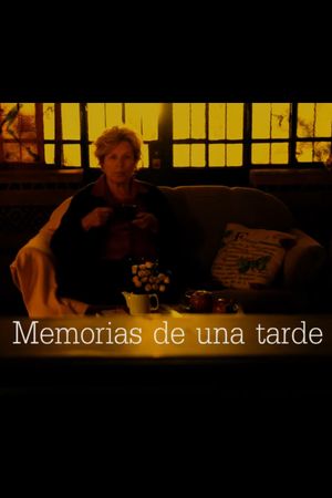 Memorias de una tarde's poster