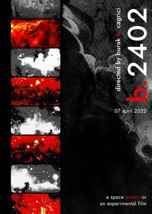 b.2402's poster