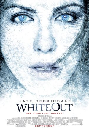 Whiteout's poster