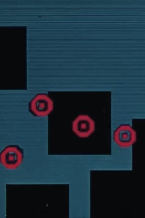 Affinities's poster