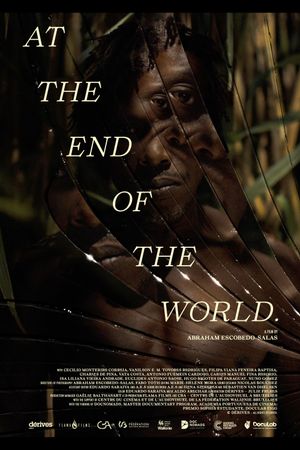 At the End Of The World's poster