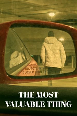 The Most Valuable Thing's poster image