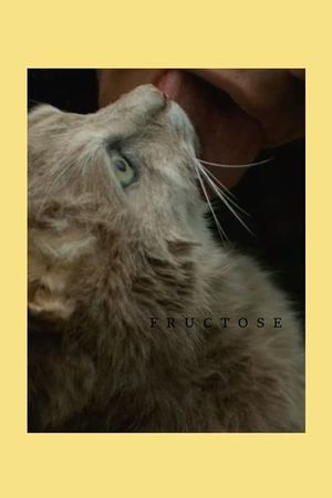 Fructose's poster