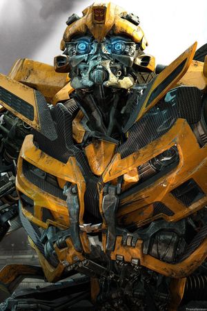 Bumblebee's poster