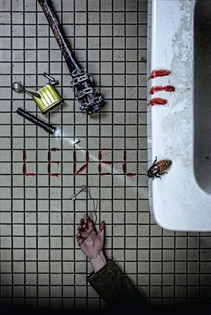 Level's poster