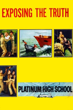 Platinum High School's poster