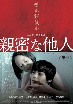 Intimate Stranger's poster