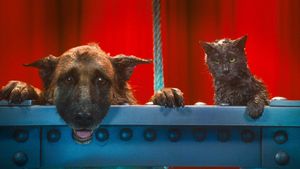 Cats & Dogs: The Revenge of Kitty Galore's poster