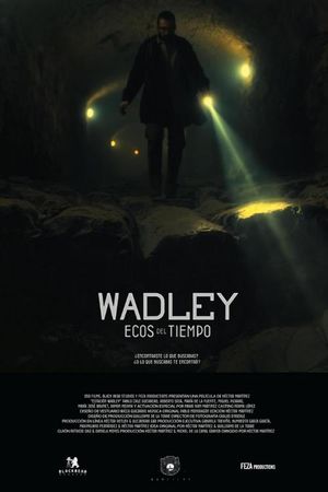 Estación Wadley's poster