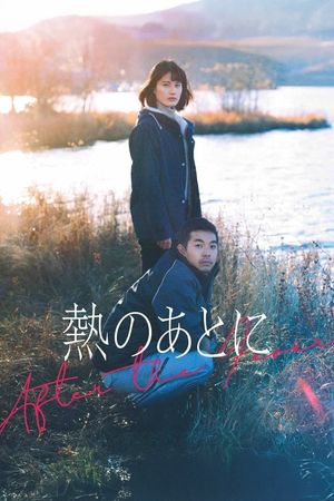 After the Fever's poster