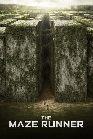 The Maze Runner's poster