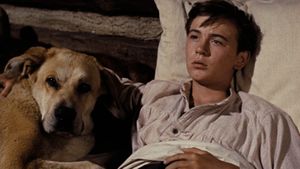 Old Yeller's poster
