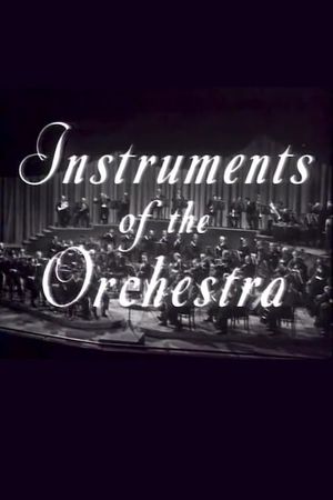 Instruments of the Orchestra's poster