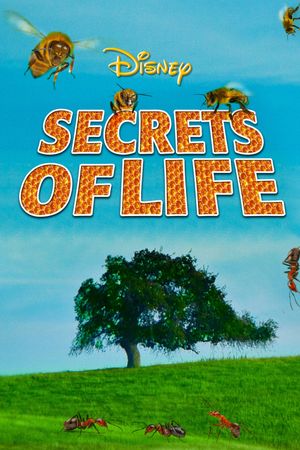 Secrets of Life's poster image