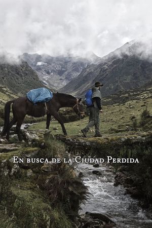 En busca de la Ciudad Perdida's poster