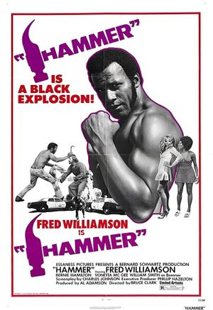 Hammer's poster image