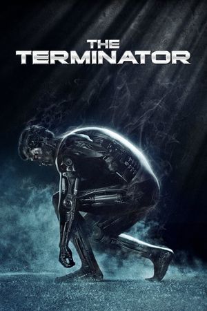 The Terminator's poster