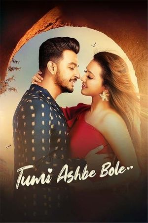 Tumi Ashbe Bole's poster image