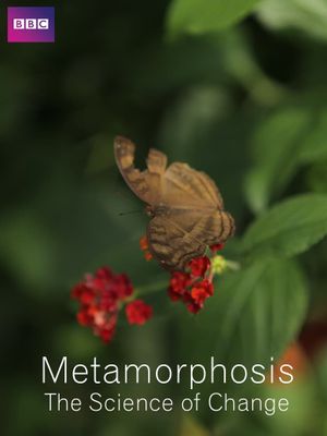 Metamorphosis: The Science of Change's poster