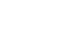 The Invincible Fist's poster