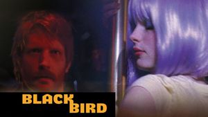 Blackbird's poster