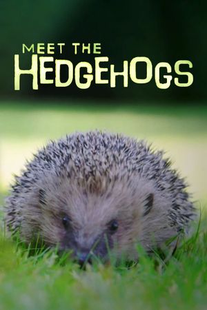 Meet the Hedgehogs's poster image