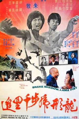 Snake Shadow Lama Fist's poster