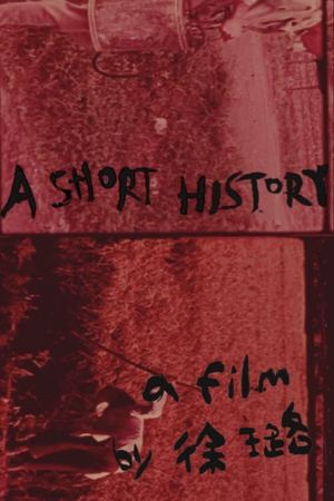 A Short History's poster image