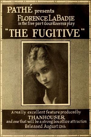 The Fugitive's poster