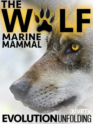 The Wolf: Marine Mammal's poster